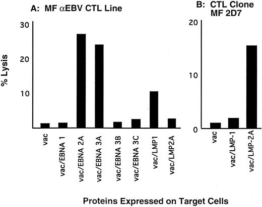 Fig. 5. CTL responses to latent EBV proteins. (A) Polyclonal lines were generated from a patient with HD by stimulating PBMC with autologous LCL. After 3 in vitro stimulations, responding cells were enriched for CD8+ cells, and the repertoire of CTL responses to the latent EBV proteins was determined by lysis of autologous fibroblasts infected with vac recombinants encoding individual latent EBV genes. Specific lysis was determined by a standard CRA. Effector cells were added at an E:T of 10:1. (B) Responding cells from the polyclonal lines described above were cloned by limiting dilution in the presence of autologous LCL stimulators. Specificity of the clones was determined in a CRA by measuring specific lysis of autologous fibroblasts infected with vac recombinants. Clone MF 2D7 lysed vac/LMP2-infected target cells at an E:T of 5:1.