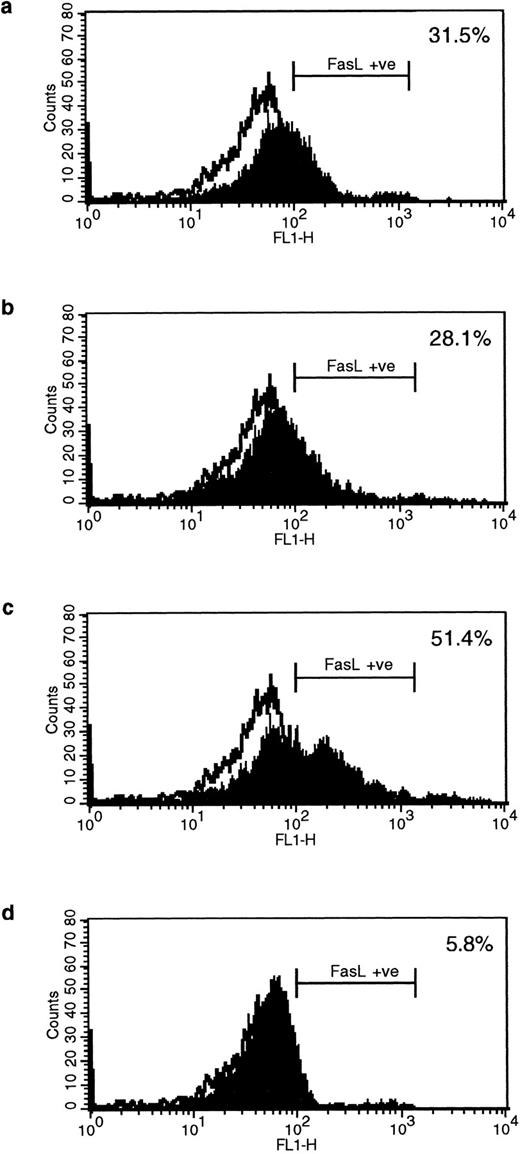 Fig. 1. Expression of FasL in B lymphocytes before and after stimulation via HLA class II. (a) PMA and ionomycin; (b) bacterial superantigen TSST-1; (c) anti–HLA-DR MoAb L227 XL; (d) anti–HLA class I MoAb W6.32 XL. The level of fluorescence in nonstimulated cells is shown as an unfilled profile and is compared with the filled profile of stimulated cells. Profiles e to h show binding of an isotype-matched control antibody (polyclonal rabbit IgG, anti–cyclin B) before and after stimulation as above. For a to h, the cells were fixed in a solution containing 95% ethanol with 5% acetic acid and then stained with either 2 μg/mL anti-FasL antibody N-20 or 1 μg/mL anti-FasL PE62, followed by 10 μg/mL secondary MoAb conjugated with FITC. (i) Immunoblot with the anti-FasL antibody PE62 in which cell lysates were prepared either under nonreducing conditions (lanes 1, 2, and 5) or under reducing conditions (lanes 3, 4, and 6). Lanes 1 and 3, nonstimulated cells; lanes 2 and 4, L227 XL; lanes 5 and 6, bacterial superantigen TSST-1.
