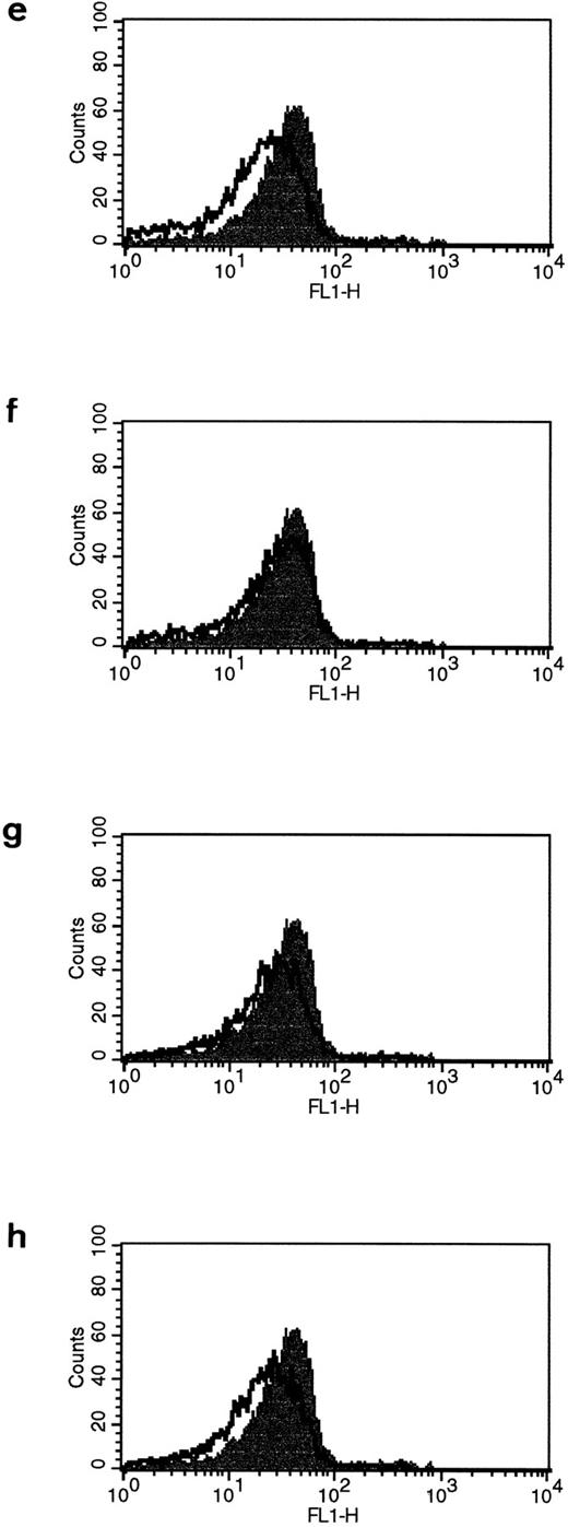 Fig. 1. Expression of FasL in B lymphocytes before and after stimulation via HLA class II. (a) PMA and ionomycin; (b) bacterial superantigen TSST-1; (c) anti–HLA-DR MoAb L227 XL; (d) anti–HLA class I MoAb W6.32 XL. The level of fluorescence in nonstimulated cells is shown as an unfilled profile and is compared with the filled profile of stimulated cells. Profiles e to h show binding of an isotype-matched control antibody (polyclonal rabbit IgG, anti–cyclin B) before and after stimulation as above. For a to h, the cells were fixed in a solution containing 95% ethanol with 5% acetic acid and then stained with either 2 μg/mL anti-FasL antibody N-20 or 1 μg/mL anti-FasL PE62, followed by 10 μg/mL secondary MoAb conjugated with FITC. (i) Immunoblot with the anti-FasL antibody PE62 in which cell lysates were prepared either under nonreducing conditions (lanes 1, 2, and 5) or under reducing conditions (lanes 3, 4, and 6). Lanes 1 and 3, nonstimulated cells; lanes 2 and 4, L227 XL; lanes 5 and 6, bacterial superantigen TSST-1.