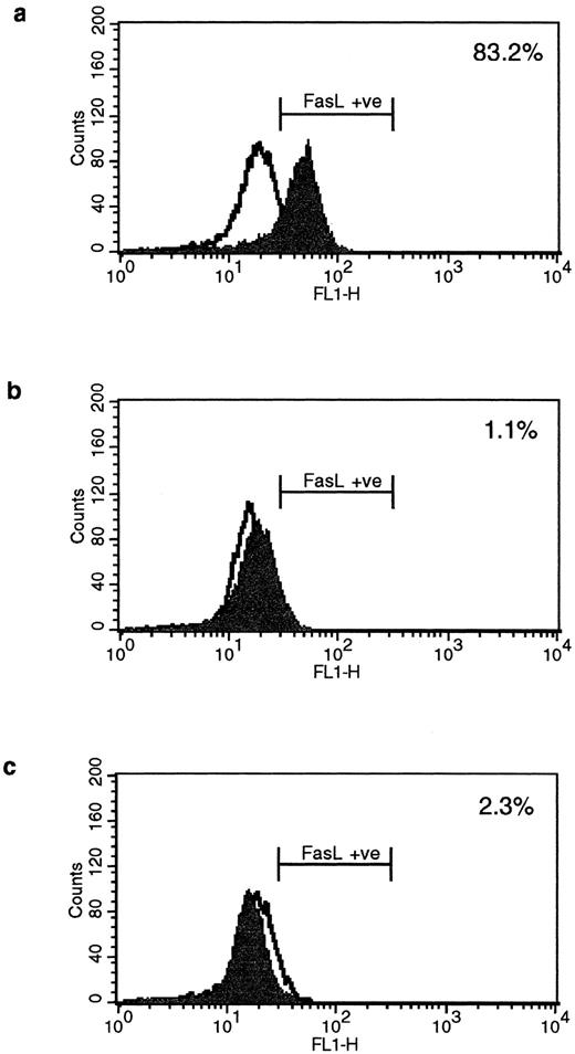 Fig. 5. Fas− cells express FasL after strong cross-linking of HLA class II molecules. Fas− cells were incubated for 96 hours with (a) L227 XL, (b) L227, (c) goat antimouse F(ab′)2 , or (d) W6.32 XL. The level of expression of nonstimulated cells is also shown as an unfilled profile. FACS profiles were obtained according to the method used in Fig 1a to d. (e) FasL detection after SDS-PAGE in nondenaturing conditions as a 110-kD trimer in lane ii. Lane 1, nonstimulated; lane 2, L227 XL; lane 3, W6.32 XL.