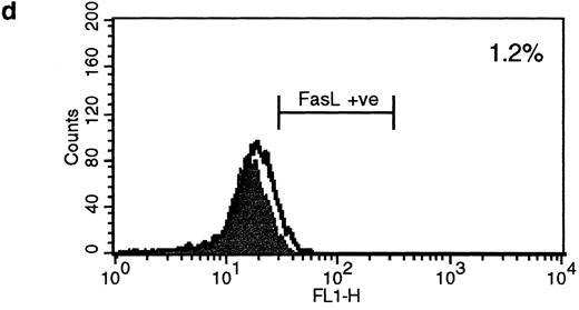 Fig. 5. Fas− cells express FasL after strong cross-linking of HLA class II molecules. Fas− cells were incubated for 96 hours with (a) L227 XL, (b) L227, (c) goat antimouse F(ab′)2 , or (d) W6.32 XL. The level of expression of nonstimulated cells is also shown as an unfilled profile. FACS profiles were obtained according to the method used in Fig 1a to d. (e) FasL detection after SDS-PAGE in nondenaturing conditions as a 110-kD trimer in lane ii. Lane 1, nonstimulated; lane 2, L227 XL; lane 3, W6.32 XL.