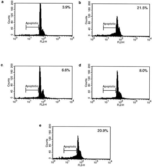 Fig. 7. HLA class II–induced apoptosis is mediated via Fas and FasL interactions. Anti-Fas and anti-FasL antibodies significantly inhibited HLA class II–mediated apoptosis. 0.5 × 106 splenic B lymphocytes were either left untreated for 96 hours or incubated for 96 hours with L227 XL (b) and for 48 hours with L227 XL with the addition of either 5 μg/mL anti-FasL antibody PE62 (c), 10 μg/mL antagonistic anti-Fas MoAb ZB4 (d), or 10 μg/mL control MoAb anti-CD19 (e) for a further 48 hours. 10,000 events were counted by FACS for each experiment.