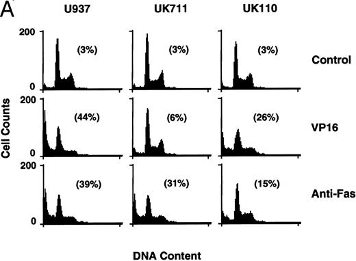 Fig. 3. Correlation of (A) apoptosis, (B) PS externalization, and (C) ICE family protease activation determined by actin cleavage assay and (D) CPP32 processing in U937 and its apoptosis-resistant variant cell lines, UK711 and UK110. Cells were treated without (C) or with 10 μg/mL VP16 (V) or 150 ng/mL anti-Fas antibody and 1 μg/mL cycloheximide (F ) for 4 hours. Numbers in parentheses in (A) and (B) are the percentages of apoptotic cells and PS externalized cells, respectively. The experiments were repeated four times and similar results were obtained.