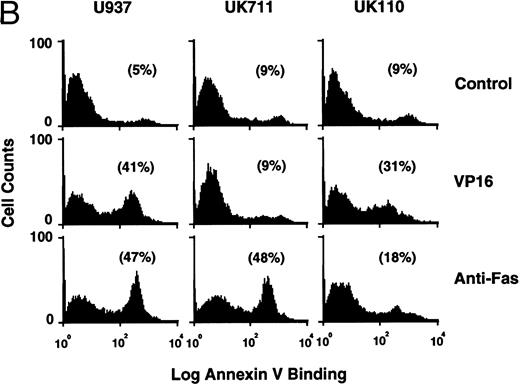 Fig. 3. Correlation of (A) apoptosis, (B) PS externalization, and (C) ICE family protease activation determined by actin cleavage assay and (D) CPP32 processing in U937 and its apoptosis-resistant variant cell lines, UK711 and UK110. Cells were treated without (C) or with 10 μg/mL VP16 (V) or 150 ng/mL anti-Fas antibody and 1 μg/mL cycloheximide (F ) for 4 hours. Numbers in parentheses in (A) and (B) are the percentages of apoptotic cells and PS externalized cells, respectively. The experiments were repeated four times and similar results were obtained.