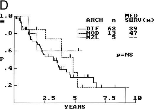 Fig. 2. Composite photograph showing the three low-power architectural patterns observed in MCL and their prognostic significance: (A) Diffuse pattern; (B) nodular pattern; and (C) MZ pattern. (D) OS of 80 patients based on the predominant architectural pattern observed at diagnosis. No significant differences in OS were shown.