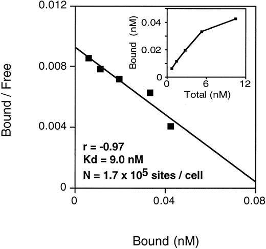 Fig. 1. Binding of 125I-labeled anti-CD19-Fab-SEAm fusion protein to Daudi lymphoma cells. Daudi cells (3 × 105/mL) were incubated (1 hour at 22°C) with serially diluted 125I-anti-CD19-Fab-SEAm (0.7 to 300 nmol/L). Cell-bound radioactivity is shown as a Scatchard plot and as a saturation curve (insert) after correction for background binding (B/Fnonspecific = 0.02) in each point. Scatchard analysis showed an apparent Kd of 9.0 nmol/L and approximately 1.7 × 105 sites per cell (R = −.97). Each value is the mean of triplicate samples.