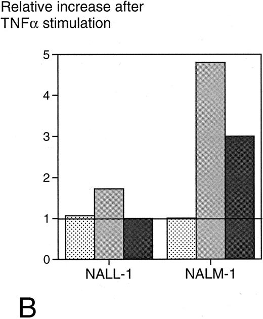 Fig. 6. (A) Surface ICAM-1 and CD19 expression of 12 different CD19+ B-cell lines (expressed as MFI) correlated with their sensitivity to anti-CD19-Fab-SEAm plus T cells. A logarithmic curve fit is shown for the ICAM-1/cytotoxicity correlation. (B) Effect of TNFα treatment of 2 pre-B-cell lines. Cell surface CD19 and ICAM-1 expression and sensitivity to anti-CD19-Fab-SEAm–mediated T-cell lysis (fusion protein concentration 0.5 ng/mL) is shown. The pre-B-cell lines (NALL-1 and NALM-1) were stimulated with TNFα (1,000 U/mL for 40 hours). Surface antigen expression and sensitivity of nonstimulated cells is presented as 1.0 (horizontal bar) to allow comparison to stimulated cells. Each value is the mean of triplicate samples. ▧, CD19 expression; , ICAM-1 expression; ▪, sensitivity to lysis.