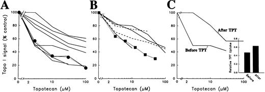 Fig. 4. Quantitative analysis of band depletion assay in samples of relapsed/refractory acute leukemia and CML-BC. (A) Densitometry of the 8 AML samples examined by this method before TPT treatment (─ ) and of HL-60 cells subjected to the assay (•, ⋅⋅⋅⋅). To provide a densitometry standard, serial dilutions of control HL-60 cells were included on each blot as depicted in Figs 1 and 2. Truncated lines indicate that the signal was not quantifiable at the next drug concentration. (B) Densitometry of ALL ( ─ ), CML-BC samples (- - -), and K562 CML cells (▪, ⋅⋅⋅⋅) subjected to the same assay. (C) Densitometry of leukemia samples obtained from a single AML patient before and 8 weeks after TPT therapy. Both samples contained greater than 97% blasts. (Inset) TPT accumulation in the paired leukemia specimens before and 8 weeks after TPT therapy. Data are expressed as the mean fluorescence intensity of the clinical specimen divided by the mean fluorescence intensity of KG1a cells subjected to the same assay simultaneously.