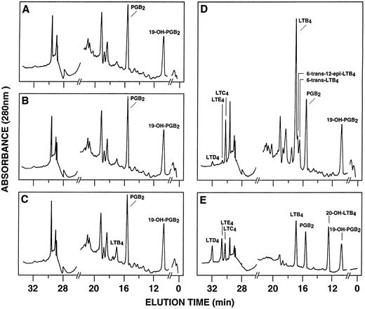 Fig. 1. RP-HPLC chromatograms of 5-lipoxygenase products in enriched monocyte suspensions stimulated with EBV and A23187. Enriched monocyte suspensions (5 × 106 cells/0.1 mL) were preincubated in the absence or in the presence of EBV for 30 minutes at 37°C, diluted 10-fold with HBSS, and further incubated with 75 nmol/L A23187 or DMSO for 5 minutes. (A) Untreated cells; (B) cells stimulated with A23187 only; (C) cells stimulated with EBV only; (D) cells pretreated with EBV and stimulated with A23187; (E) synthetic leukotriene standards. Analyses were performed by RP-HPLC as described in the Materials and Methods. Results shown are from one experiment representative of four separate experiments. The amounts of PGB2 and 19-OH-PGB2 (internal standards) in chromatograms (A) through (D) are 12.5 ng.