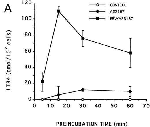 Fig. 2. Kinetics of the priming effect of EBV on the synthesis of LTB4 and LTC4 . Enriched monocyte suspensions (10 × 106 cells/0.1 mL) were preincubated or not with EBV for various periods of time at 37°C, diluted 10-fold with HBSS, and stimulated for 5 minutes with 75 nmol/L A23187. Levels of LTB4 (A) and LTC4 (B) in incubation media were measured by RP-HPLC as described in the Materials and Methods. Values are the mean ± SD of triplicate incubations from one experiment representative of five separate experiments.