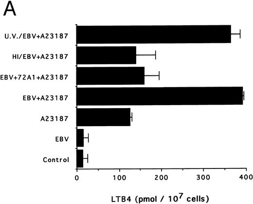Fig. 3. Effects of infectious and inactivated viruses on LTB4 and LTC4 synthesis. Enriched monocyte suspensions (5 × 106 cells/0.1 mL) were preincubated or not with infectious or inactivated viral particles for 30 minutes at 37°C and diluted 10-fold with HBSS before A23187 stimulation (75 nmol/L) for 5 minutes. Analyses of LTB4 (A) and LTC4 (B) contents of incubation media were performed as described in the Materials and Methods. Results are from one experiment (mean ± SD of triplicate incubations) and are representative of three separate experiments. UV/EBV, UV-irradiated EBV; HI/EBV, heat-inactivated EBV; EBV/72A1, EBV neutralized with the MoAb 72A1.