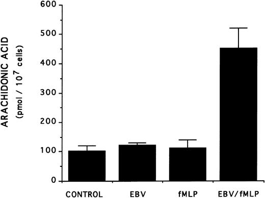 Fig. 4. Effect of EBV on the release of arachidonic acid in fMLP-stimulated enriched monocyte suspensions. Enriched monocyte suspensions (2 × 106 cells/0.1 mL) obtained by centrifugation on a Percoll density gradient were incubated or not with EBV (for 20 minutes) at 37°C, diluted 10-fold with HBSS, and stimulated with fMLP (1 μmol/L for 10 minutes). Samples were subjected to RP-HPLC and fractions containing arachidonic acid were collected for quantitation by mass spectrometry as described in the Materials and Methods. Results (mean ± SD) are from one experiment representative of three separate experiments performed in triplicate.