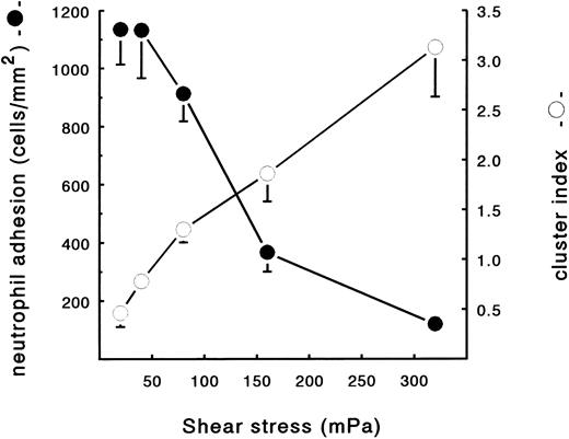 Fig. 1. Neutrophil adhesion and clustering at different shear stresses. Neutrophils were perfused over a plasma fibrin surface at shear stresses ranging from 20 to 320 mPa. An ECM-coated coverslip was incubated with (leukocyte-free) PPP from heparinized blood at a shear stress of 20 mPa (10 minutes at 37°C). Subsequently, the fibrin surface was used for a perfusion with isolated resting PMNs (2 × 106 cells/mL HEPES buffer). After 5 minutes, the total number of adhering neutrophils per square millimeter (•) and the cluster index (○) was determined. The mean values ± SE of four to six experiments are given.