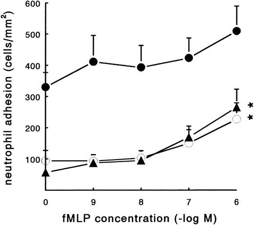 Fig. 3. Effect of fMLP on PMN adhesion under static conditions. Neutrophil adhesion to three different fibrin-coated surfaces was measured under static conditions: pure fibrinogen (▴), pure fibrin (○), and plasma fibrin (•). PMNs were incubated on the surface for 45 minutes at 37°C (2 × 106 cells/mL HEPES buffer) with or without fMLP. Shortly before measuring the total number of adhering PMNs per square millimeter, the surfaces were carefully rinsed to remove nonadherent cells. The data represent the number of adhering neutrophils per square millimeter. The mean values ± SE of six to eight experiments are given. *Significant effect of fMLP activation was determined by repeated measures ANOVA (P < .01).