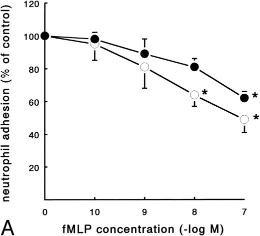 Fig. 4. Effect of activation with fMLP on the adhesion of PMNs to fibrin. Neutrophils were perfused over fibrin-coated surfaces at shear stress 80 mPa after preactivation with different concentrations of fMLP (5 minutes at 37°C). (A) The total number of adhering PMNs per square millimeter was measured to pure fibrin (○) and plasma fibrin (•). The data represent the number of adhering neutrophils per square millimeter as a percentage of the (unstimulated) control. Absolute control values are 1,020 ± 56 cells/mm2 for pure fibrin and 921 ± 78 cells/mm2 for plasma fibrin. *A significant effect of fMLP activation was determined for both surfaces by repeated measures ANOVA (P < .05). (B) During the experiments, the cluster index of the cells adhered to pure fibrin (○) was determined as well. The mean values ± SE of four to six experiments are given. *A significant effect of fMLP activation was determined by repeated measures ANOVA (P < .05).