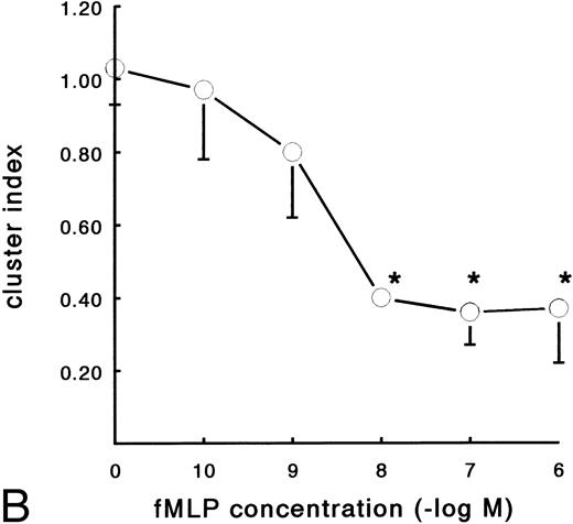Fig. 4. Effect of activation with fMLP on the adhesion of PMNs to fibrin. Neutrophils were perfused over fibrin-coated surfaces at shear stress 80 mPa after preactivation with different concentrations of fMLP (5 minutes at 37°C). (A) The total number of adhering PMNs per square millimeter was measured to pure fibrin (○) and plasma fibrin (•). The data represent the number of adhering neutrophils per square millimeter as a percentage of the (unstimulated) control. Absolute control values are 1,020 ± 56 cells/mm2 for pure fibrin and 921 ± 78 cells/mm2 for plasma fibrin. *A significant effect of fMLP activation was determined for both surfaces by repeated measures ANOVA (P < .05). (B) During the experiments, the cluster index of the cells adhered to pure fibrin (○) was determined as well. The mean values ± SE of four to six experiments are given. *A significant effect of fMLP activation was determined by repeated measures ANOVA (P < .05).