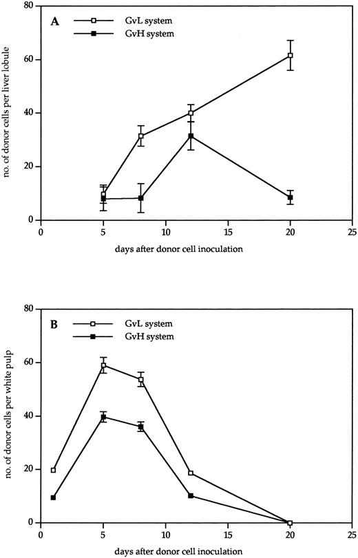 Fig. 2. Kinetics of donor cell infiltration of (A) liver and (B) spleen in the GVL (□) or GVH (▪) system. Frozen tissue sections were stained for donor cells with anti-β2Mb immune complexes and analyzed under the microscope. The data indicate the means and standard deviations (SD) from five separate experiments with 5 to 8 animals per time point. Points without SD indicate values for which the SD was smaller than 1.