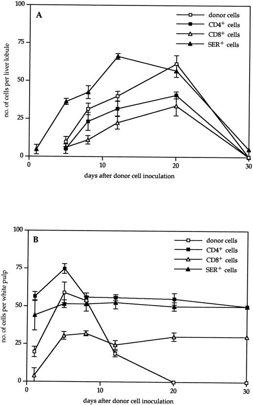 Fig. 4. Kinetics of infiltration of liver (A) or spleen (B) in the GVL system by donor cells (□), CD4+ T cells (▪), CD8+ T cells (▵), and SER-4+ macrophages (▴). Immunohistochemically stained frozen tissue sections were analyzed under the microscope. The data indicate the means and standard deviations from two experiments with 2 to 3 animals per time point.
