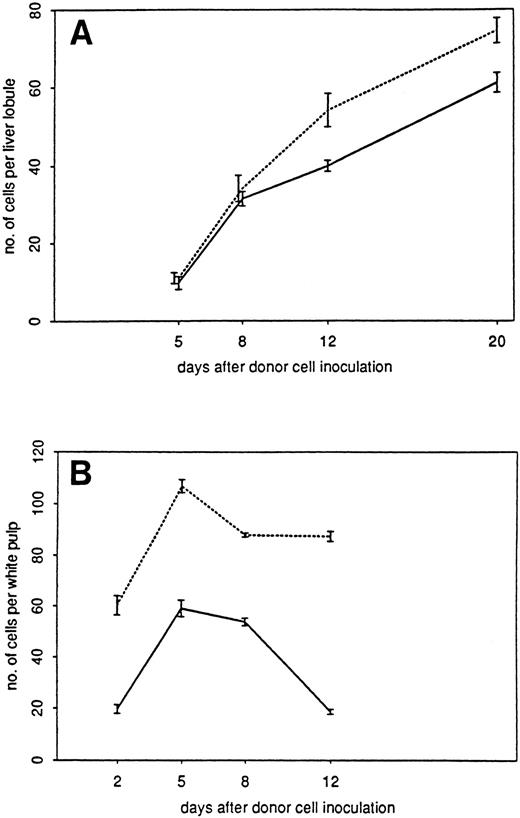 Fig. 7. Mean GVL response curves in liver (A) and spleen (B) with corresponding 95% confidence intervals. ( — ) Donor cells; (- - -) CD4 + CD8 cells.