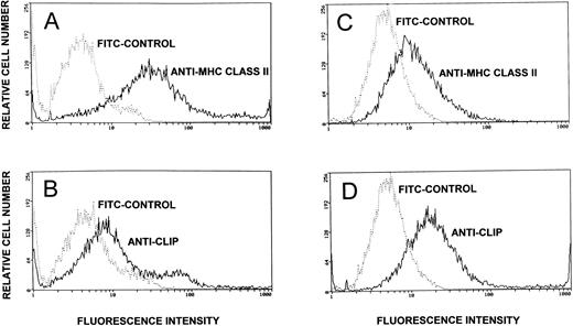 Fig. 3. Cell surface expression of CLIP and MHC class II determinants on lymphoblasts and the T47D breast cancer cell line. PHA lymphoblasts (identified by electronic gating for cell size and scatter) and the T47D cell line were assessed flow cytometrically for expression of the MHC class II determinants and for cell surface CLIP. MHC class II expression was assessed by staining the cells with murine anti–HLA-DR followed by counterstaining with FITC-conjugated sheep antimouse IgG. Control cells were pretreated with normal mouse serum before counterstaining (A, lymphoblasts; C, T47D). CLIP expression was assessed by staining with affinity-purified rabbit anti-CLIP antibody and counterstaining with FITC-conjugated goat antirabbit IgG. As controls, the lymphoblasts and the T47D cell line were pretreated with rabbit prebleed IgG before counterstaining with FITC goat antirabbit IgG (B, lymphoblasts; D, T47D breast cancer cell line).