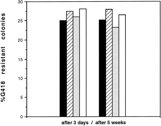 Fig. 3. Average percentages of G418-resistant colonies (CFU-GM + BFU-E) with each vector from all seven transductions. (Left) Colonies derived from CD34+ cells plated in colony assays immediately after transduction. (Right) Colonies derived from cells after 5 weeks of LTBMC without G418 selection.
