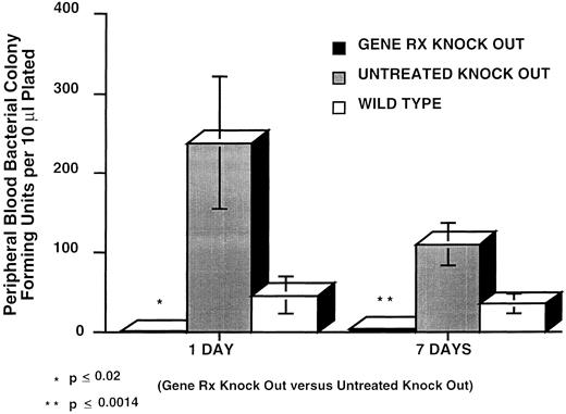 Fig. 2. Bacteremia in mice after ip injection of 2.5 × 105 CFU B cepacia. PB was collected 24 hours and 1 week after challenge. The vertical axis is PB B cepacia in CFU per 10 μL blood plated at the indicated times after challenge. The bars, left to right, respectively, for day 1 and day 7 correspond to the mean ± SEM bacterial colony counts per 10 μL blood plated from nine gene corrected p47phox−/− mice (Gene RX Knock Out, closed bars), 11 uncorrected control p47phox−/− mice (Untreated Knock Out, shaded bars), and 8 WT control mice (Wild Type, open bars).