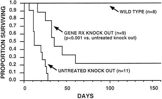 Fig. 3. Survival after ip challenge with 2.5 × 105 CFU B cepacia plotted as a Kaplan-Meier survival analysis. The plot demonstrates the survival of gene corrected p47phox−/− mice (Gene Rx Knock Out), uncorrected control p47phox−/− mice (untreated Knock Out), and WT control mice (Wild Type) after bacterial infection challenge. The vertical axis is the proportion of mice surviving and the horizontal axis is time after challenge in days. The value for “n” equals the number of mice alive in each group at the time of challenge. All WT mice survived the challenge and remain alive, while two of the Gene Rx Knock Out group survived the challenge long term and remain alive at the time of this report.