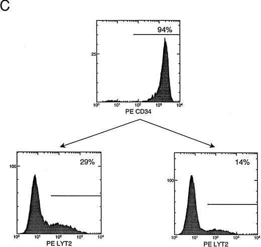 Fig. 1. (A) Genomic structure of the retroviral vectors encoding a bicistronic mRNA coexpressing RevM10 and lyt2. LMiLy encodes the RevM10 gene and the murine CD8α′ gene under control of an IRES. LΔMiLy is identical to LMiLy, except that a mutation was introduced to eliminate the initiation codon of the RevM10 gene. The hatched region indicates a small insertion for distinguishing LMILy from LΔMiLy by polymerase chain reaction. IRES, internal ribosomal entry site. Lyt2, murine cDNA encoding the CD8α′ chain. (B) Coexpression of lyt2 and RevM10 in a transduced human T-cell line. CEM-ss cells were transduced with LMiLy or LΔMiLy or mock supernatant. Cell surface expression of lyt2 and intracellular expression of RevM10 were analyzed by FACS. / (C) CD34+ cell enrichment and transduction. Live cells (based on side scatter, size, and propidium iodide exclusion) were analyzed for their expression of CD34+ or lyt2 expression after transduction. The percentage of positive cells is indicated. The gate is based on isotype antibody control and/or mock-transduced cells. (Bottom left) LMiLy-transduced cells. (Bottom right) LΔMiLy-transduced cells.