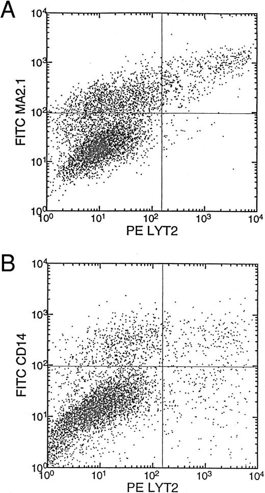 Fig. 2. Transduction of HSCs with long-term reconstitution activity in the SCID-hu bone mice. MA2.1+ donor CD34+ cells were transduced with LMiLy and injected into MA2.1− host bone fragments implanted in SCID mice. Donor cells were assayed for Lyt2 expression (A) and coexpression of CD14 and Lyt2 at 8 weeks posttransplantation (B). Control bone fragments were from irradiated SCID-hu bone mice not injected with any donor cells.