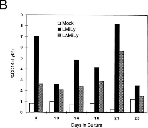 Fig. 3. In vitro differentiation of myeloid cells after transduction. Mock- or vector-transduced CD34+ cells were differentiated for 10 days and analyzed for the myeloid marker CD14 and lyt2 expression (A). Kinetic analysis indicated stable lyt2 expression in the myeloid lineage cells in CD34+ cells transduced with either LMiLy or LΔMiLy (B). The presence of RevM10 gene product (LMiLY or LΔMiLy) did not affect the efficiency of differentiation.