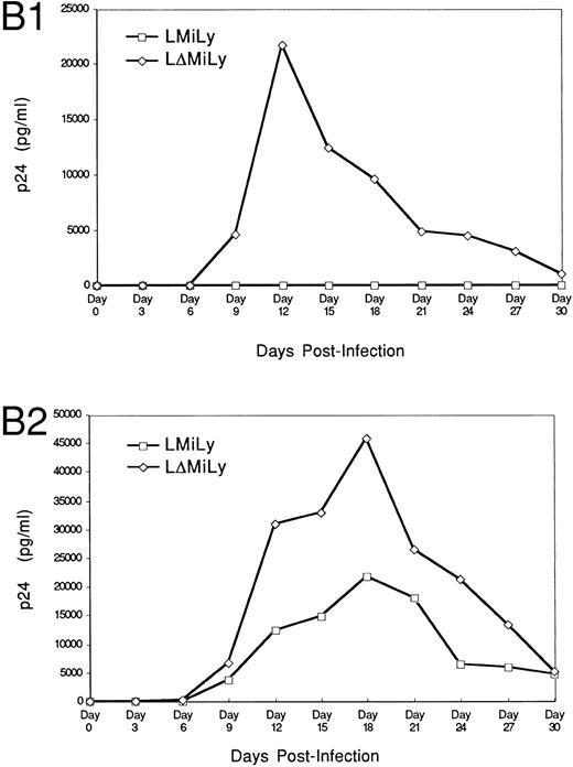 Fig. 4. RevM10-modified primary myeloid cells showed resistance to HIV-1 replication. (A) Transduced CD34+ cells were enriched by FACS sorting to greater than 90% lyt2+. Fifty thousand sorted cells per well were differentiated in the presence of GM-CSF and IL-3 and infected with a macrophage-tropic HIV-1 isolate (JR-FL, 2,000 TCID50/well). p24 levels in the supernatant of JR-FL–infected primary cells were assayed for 30 days. Data were from triplicate wells and standard errors are shown. (B1) As in (A), 10,000 sorted Lyt2+CD34+ cells from a different UBC donor were challenged with HIV-1 JR-FL at 2,000 TCID50/well. (B2) was the same as (B1), except that the challenge was with JR-FL at 20,000 TCID50/well. Similar data were obtained with two other donor tissues (data not shown).