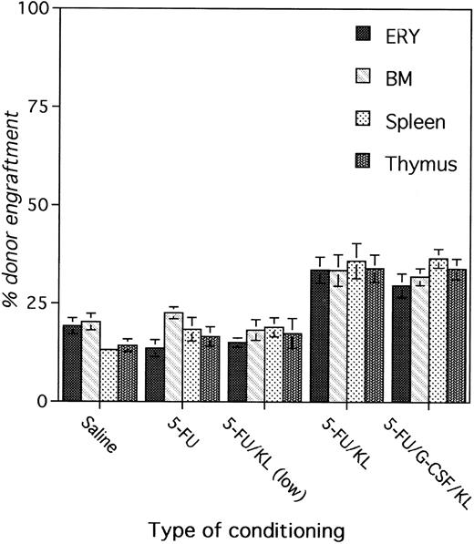 Fig. 3. Correlation between erythroid chimerism and chimerism in BM, spleen, and thymus. Recipients prepared with two weekly doses of saline, 5-FU, 5-FU + KL, 5-FU + KL (low dose), or 5-FU + KL (low dose) + G-CSF were transplanted with 3 × 107 BM cells divided over 3 consecutive days (24, 48, and 72 hours after the last 5-FU injection). The level of chimerism was determined at 8 months after BMT by Gpi-phenotyping of erythrocytes, BM cells, splenocytes, and thymocytes.