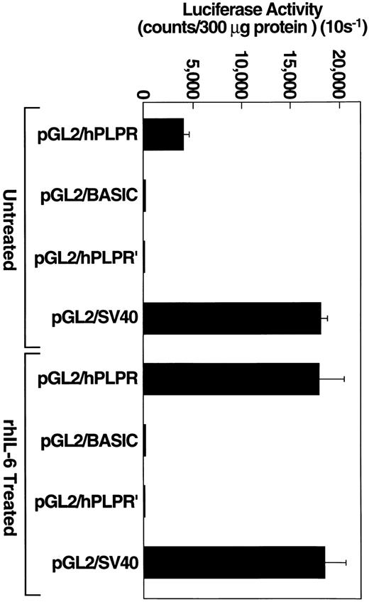 Fig. 5. rhIL-6 stimulates pGL2/PLPR promoter activity in Hep3B cells. Hep3B cells, grown to approximately 90% confluence in 100-mm dishes, were transiently transfected with the indicated plasmid constructs using 40 μg of plasmid DNA and 125 μL lipofectamine reagent. Cells were grown in EMEM containing 10% FCS and cultured in the presence of either media alone or 500 U/ml rhIL-6 for 24 hours in EMEM containing 10% FCS. Protein concentrations of cell lysates were determined and an appropriate volume of lysate was added to 100 μL of luciferase assay reagent (Promega) so that 300 μg of protein were assayed for each experimental condition. Luciferase activity was measured and expressed as counts/300 μg (10 s−1) protein. Error bars represent standard deviation.