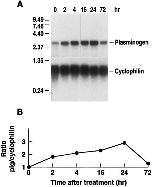 Fig. 7. Time dependence of the effect of LPS injection on hepatic plasminogen mRNA expression in mice. (A) Mice were injected intraperitoneally with either saline or 50 μg LPS and killed at the indicated times. Livers were harvested and total RNA was extracted and subjected to Northern blot analysis using the 32P-cDNA probes for murine plasminogen and for murine cyclophilin. The time course points were determined at least twice. Each lane represents RNA isolated from an individual representative animal. Migration of RNA molecular size standards is shown on the left. (B) Fold-stimulation was determined as the ratio of plasminogen/cyclophilin hybridization band intensity determined by laser densitometric scanning of the autoradiogram. The ratio was normalized to one for the untreated condition.