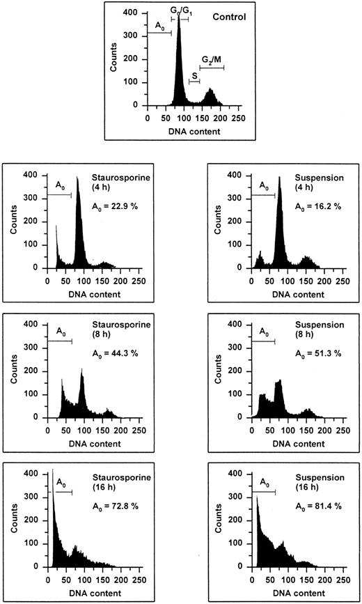 Fig. 1. Flow cytometric cell cycle histogram. HUVECs treated with staurosporine (left panels) or kept in suspension with serum deprivation (right panels) for 4, 8, and 16 hours were permeabilized, fixed, treated with RNAse, and stained with PI. The region below the Go /G1 peak (designated Ao region) represents cells undergoing apoptosis-associated DNA degradation (hypodiploid DNA) and is expressed as a percentage of events with respect to the entire cell cycle.