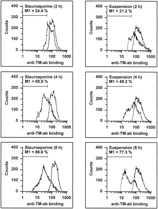 Fig. 6. Flow cytometric determination of TM. HUVECs treated with staurosporine (left panels) or kept in suspension with serum deprivation (right panels) for 2, 4, and 8 hours were harvested, washed, and stained with an antihuman TM MoAb, followed by an FITC-conjugated goat antimouse antibody. The M1-region is defined as a percentage of events below the control (all panels, right peak). The results of one representative experiment of three performed are shown.