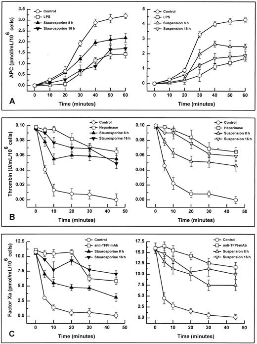 Fig. 7. Functional activity of TM (A), HS (B), and TFPI (C). Assays were performed using either adherent (left panels) or suspended cells (right panels). Apoptosis in adherent and suspended HUVECs was induced by treatment with staurosporine (left panels, solid triangles) or culture in suspension with serum deprivation (right panels, shaded triangles) for 8 and 16 hours, respectively. All activities were determined by chromogenic substrate assays as follows: thrombin-dependent activation of protein C (TM activity), ATIII-dependent inhibition of thrombin (HS activity), and inhibition of factor Xa formation generated by the TF-factor VIIa complex (TFPI activity). Controls were untreated cells (all panels; ○). As negative controls (all panels; □), cells were pretreated with LPS (TM), heparinase III (HS), and rabbit antihuman TFPI antibody (TFPI), respectively. Results are expressed as mean ± SD (n = 4).