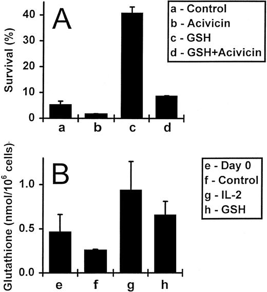Fig. 4. The uptake of exogenous GSH by activated T cells. (A) Activated T cells (deprived of IL-2) were incubated for 5 days either alone, with acivicin (5 mmol/L) or GSH (3 mmol/L), or with acivicin and GSH together. Values are means ± SEM of triplicate cultures, and the results are representative of four independent experiments. (B) Activated T cells incubated alone, with IL-2 (5 ng/mL) or with GSH (3 mmol/L) for 2 days were assessed for their total GSH content (expressed as nmol/106 cells; see Materials and Methods). The initial GSH content, at day 0, was also determined. Values represent means ± SEM for three independent experiments.
