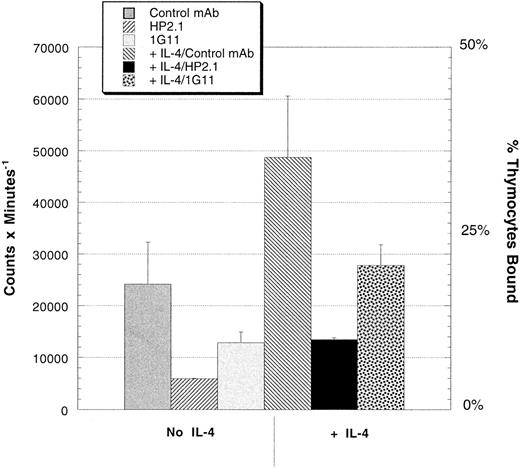 Fig. 4. Adhesion of thymocytes to TEC monolayers with or without the pretreatment of the monolayers with rIL-4 (1,000 U/mL overnight). Freshly prepared thymocytes were metabolically labeled with 35S and plated onto confluent TEC monolayers (untreated or rIL-4 pretreated) in serum-free culture media for 30 minutes at 37°C in the presence of either a control MoAb, an anti-α4 antibody (HP2.1), or an anti-VCAM-1 MoAb (1G11). This experiment is representative of three experiments depicted in Table 1.