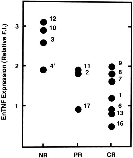 Fig. 5. Correlation between enTNF expression and chemosensitivity. Values of enTNF expression for 14 cases treated with anthracyclins and treatment outcome are plotted. enTNF expression is represented as the relative value compared with that of KG-1 cells. NR, no response; PR, partial remission; CR, complete remission.