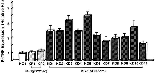 Fig. 6. enTNF expression in KG-1 cells, pSV2neo transfected clones, and pTNFΔpro transfected clones. enTNF expression is represented as the relative value compared with that of KG-1 cells. The data represent the mean (±SD) of three independent experiments. KP1 and KP2 cells were transfected with pSV2neo alone and KD1-KD11 cells were cotransfected with pTNFΔpro and pSV2neo.