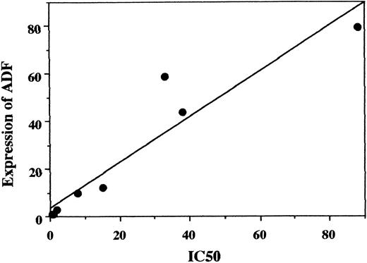 Fig. 3. Correlation between the IC50 and expression of ADF in T-cell leukemia cell lines. IC50 (relative values v that of Jurkat) and expression of ADF (relative density of the bands v that of Jurkat) were plotted. r = .891, P < .01 (Pearson's correlation coefficient analysis). Also significant by Spearman's correlation coefficient analysis (P < .01).