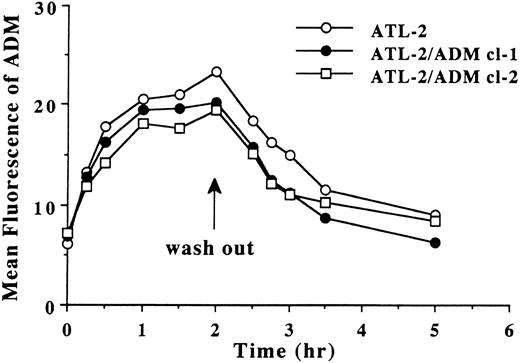 Fig. 4. Accumulation and efflux curves of ADM in ATL-2 and ATL-2/ADM cell lines. Mean fluorescence of ADM obtained from three different experiments was plotted at indicated times.