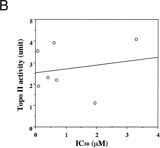 Fig. 7. Topoisomerase II activity. (A) Agarose gel electrophoresis; (B) correlation between topoisomerase II activity and the IC50 of ADM in T-cell leukemia cell lines. Topoisomerase II activity showed no correlation with the resistance to ADM (r = .19).