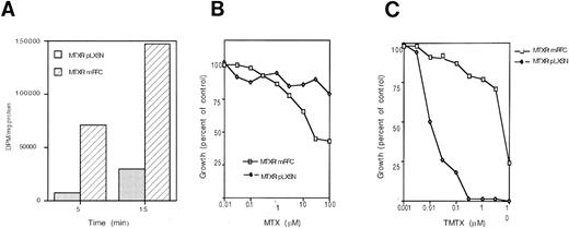 Fig. 1. Characterization of mRFC-transduced MOLT-3/MTX10,000 cells. (A) MTX uptake in mRFC-transduced MOLT-3/MTX10,000 cells (MTXR/mRFC) and control cells transduced with empty vector (MTXR/pLXSN). (B) Cytotoxicity curves of mRFC-transduced MOLT-3/MTX10,000 cells (MTXR/mRFC) against MTX in medium containing folic acid compared with MOLT-3/MTX10,000 cells transduced with an empty vector (MTXR/pLXSN). (C) Cytotoxicity curves of mRFC-transduced MOLT-3/MTX10,000 cells against TMTX in medium containing folinic acid compared with MOLT-3/MTX10,000 cells transduced with an empty vector. Each point represents the average of two to three separate experiments performed in triplicate.