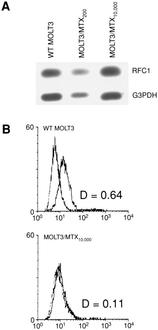 Fig. 2. (A) Quantitative RT-PCR of RFC1 expression in WT MOLT-3 cells, MOLT-3/MTX200 cells and MOLT-3/MTX10,000 cells. G3PDH expression is used as a control. (B) Flow cytometric analysis of WT MOLT-3 (top) and MOLT-3/MTX10,000 cells (bottom) with anti-RFCl polyclonal antiserum and control preimmune serum. The X-axis is fluorescence intensity and the Y-axis is cell number.