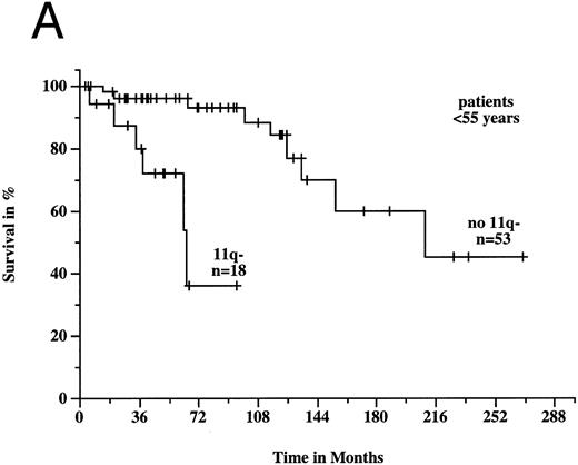 Fig. 6. Survival probabilities from the time of diagnosis depending on the age: (A) Patients < 55 years: the median survival time of the 18 patients with 11q deletion was 64 months compared to 209 months in the 53 patients without 11q deletion. The difference between the two curves was highly significant (P < .001). (B) Patients ≥ 55 years: the median survival time of the 25 patients with 11q deletion was 94 months compared to 111 months in the 118 patients without 11q deletion (P = .82).