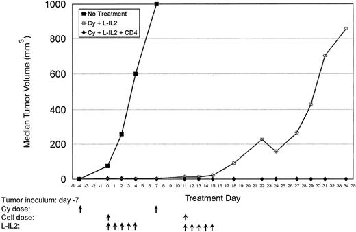Fig. 3. Normal C57BL/6 mice were inoculated with MC-38 SC in the right hindflank (Table 1, experiment 3). Two courses of treatment were given as indicated. Cures were achieved in 30% of mice receiving Cy + L-IL-2 therapy, while 90% of mice receiving CD4-based therapy were free of tumor.