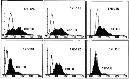Fig. 5. CSF-1R expression on RI-AML cells. Fluorescence microfluorometry analysis of six first- or second-passage RI-AML tumors. Cell-surface CSF-1R expression was detected with a rat monoclonal antibody to the mouse CSF-1R and FITC goat anti–rat IgG (H + L). Ordinate: cell number; abscissa, intensity of fluorescence.