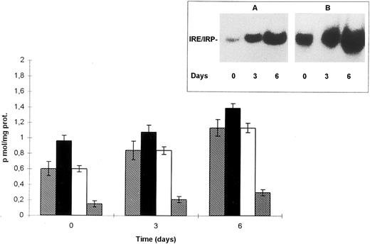 Fig. 4. IRP activity in monocytes of controls, GH, and SH patients during in vitro maturation to macrophages. Monocytes from 10 controls (▧), 2 patients with SH caused by sporadic PTC and β-thalassemia intermedia (), 5 untreated (▪), and 6 treated unrelated GH patients (□) were allowed to differentiate in vitro. Lysates were prepared from cells freshly isolated (day 0) or cultured for 3 and 6 days and IRP activity was measured by RNA-bandshift assay as described in the legend to Fig 1. Values were calculated as described in Materials and Methods and are expressed as means with SD. The inset shows a representative bandshift analysis of samples from a control (A) and an untreated GH patient (B) at the various time points. IRP activity increased with differentiation to macrophages in all the populations examined, maintaining the differences observed in freshly isolated monocytes.